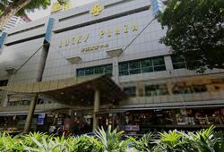 Lucky Plaza (D9), Shop House #520344721
